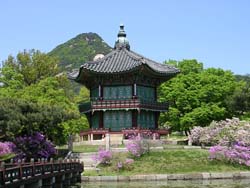 �����׶�������