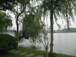 �Ͼ�Ī�����԰