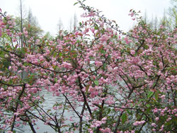 ���ݻ��۹���