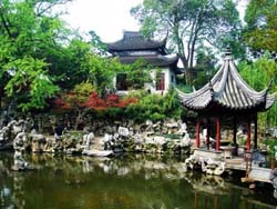 ����ʨ����