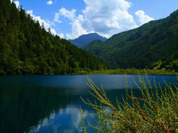 Ĳ�ṵ����