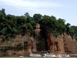 ��üɽ��������