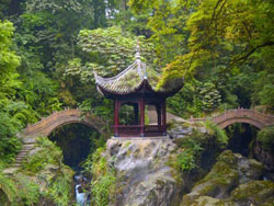 ��üɽ������