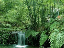 �ɶ�����ɽ��԰