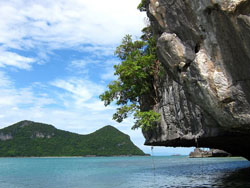 ̩����ͨ���ҹ�԰