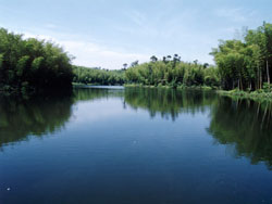 �ɶ��񺣺��к�