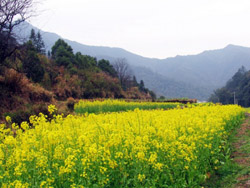 ��Դ�����