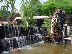 ˮ������԰