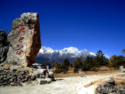 ���϶��ʹ�Ͽ��