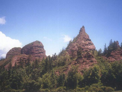 ����������ɭ�ֹ�԰