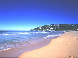 �Ĵ����Ǻ����ߺ�̲