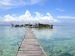 �����Ʋ����ֽ���