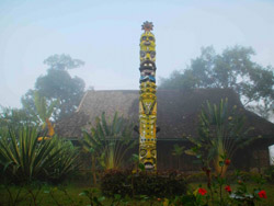 ��˫���ɻ�ŵɽկ