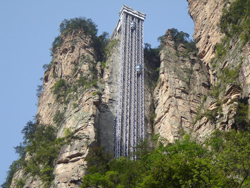 �żҽ��������