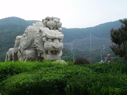 ����Ⱥ������