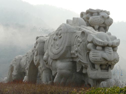 �����ϻ�̲