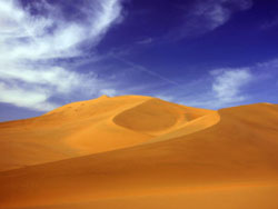 �͵�����ɳĮ