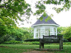 �¼���ֲ��԰