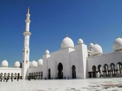 �ϰ�л��������������