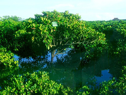 ����������