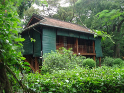 ��־���ʾ�