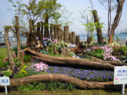 ���ɽ�¹�԰