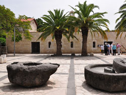 ��ɫ�����������