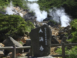 �ձ���ɽ��ӿ��