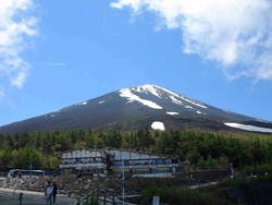 ��ʿɽ���Ŀ