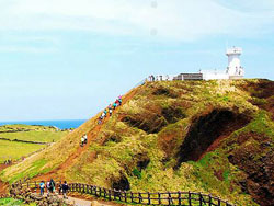 ���ݵ���ؿ�֧