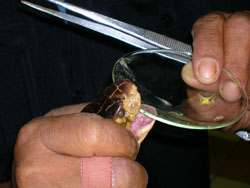 ̩�������о�����