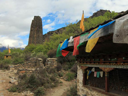 �������ǧ��ű�