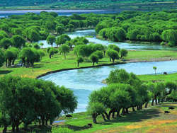 ���ذͽ�����ԭ