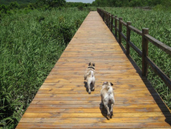 ���ں����ֺ�����̬��԰