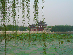 ����ܽ��԰