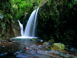 ��Ϫʪ�ع�԰