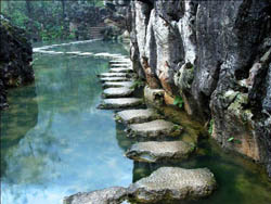 �����ž���