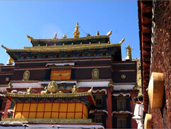 ��ʲ�ײ���