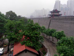 ��������ǽ