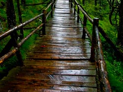 ̫��ɽ����