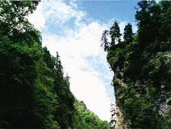 ����÷԰��