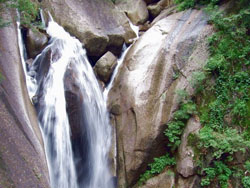 ¤�ϰ���ɽɭ�ֹ�԰