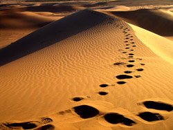 ���Ĵ�Į����԰