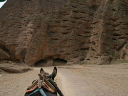 ��������Ͽ��