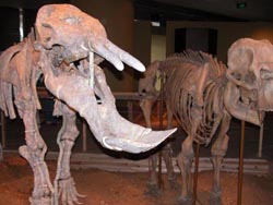 ���������ﻯʯ�����