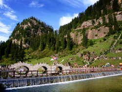 �����ҹ���ɭ�ֹ�԰