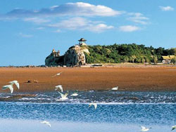 �����ѹ�԰