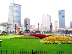 ��������㳡