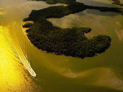 �����ܹ�������԰