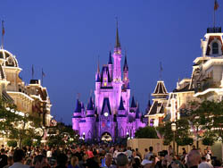 �������˹����԰